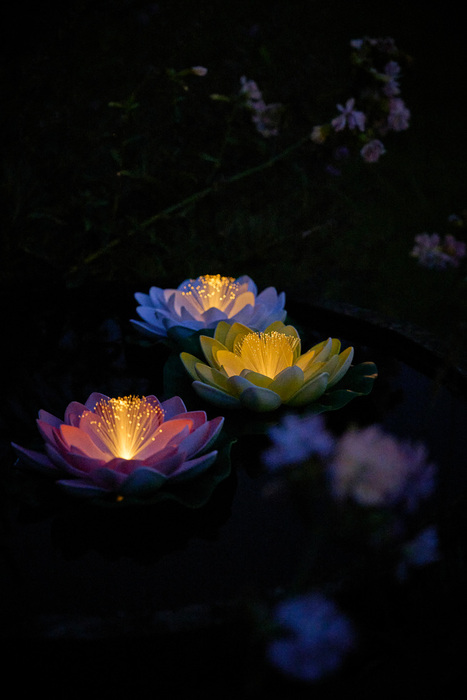 Solcellelampe vannlilje - Garden